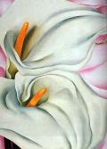 О'КИФ. Two Calla Lillies on Pink. 1928 г. 