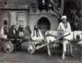 ЗАНГАКИ, братья. Араб с тремя женами и двумя служанками. 1892-1893 гг. 