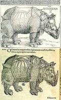 ДЮРЕР, Альбрехт. Носорог. (Внизу: Conrad Lycosthenes: Prodigiorum... Basel. 1557 г.)  Германия. 1515 г. 